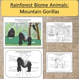 Rainforest Biome Animals: Mountain Gorilla