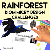 Rainforest | Biomimicry Design Inspired by Nature Compatible with NGSS