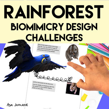 Preview of Rainforest Project | Biomimicry Design Activities |  Nonfiction |  STEAM