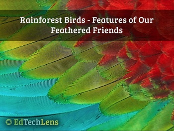 Preview of Rainforest Birds - Features of our Feathered Friends Distance Learning PDF