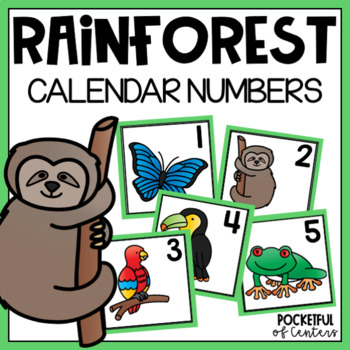 Rainforest Calendar Numbers by Pocketful of Centers | TpT