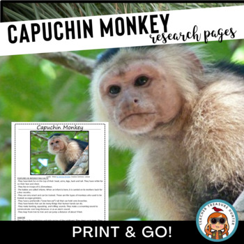 Preview of Rainforest Capuchin Monkey Research Reading Pages for Rainforest Animal Reports