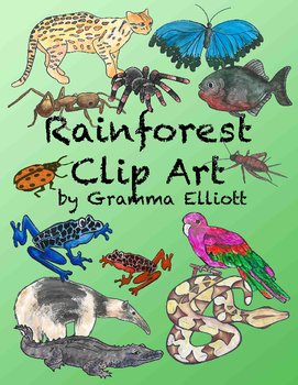 Preview of Rainforest Clip Art Semi - Realistic clips - Color  BW