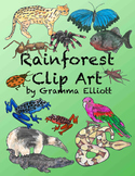 Rainforest Clip Art Semi - Realistic clips - Color  BW