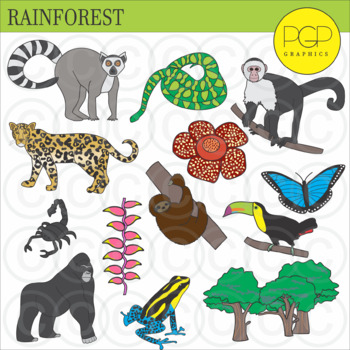 Rainforest Clip Art by PGP Graphics by PGP Graphics | TpT