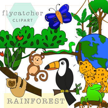 cartoon rainforest clipart