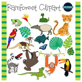 tropical rainforest clipart