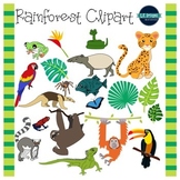 Rainforest Clipart {L.E. Designs}