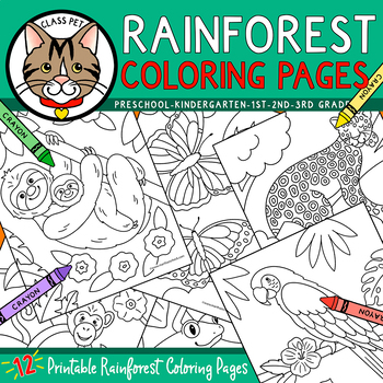 Preview of Rainforest Coloring Pages for Preschool | Kindergarten | First Grade