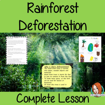 Rainforest Deforestation Complete Geography Lesson