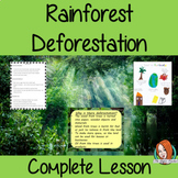Rainforest Deforestation Lesson