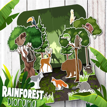 4th Grade Rainforest Ecosystem Shoebox Diorama  Rainforest project,  Rainforest, Ecosystems projects