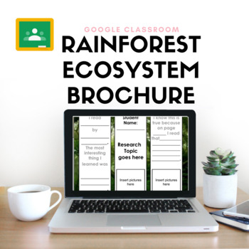 Preview of Rainforest Ecosystem Brouchure