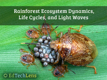 Preview of Ecosystem Dynamics, Life Cycles, Light, & Human Uses of Rainforests Unit eBook
