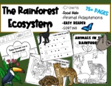 Rainforest Ecosystem/Biome BUNDLE (Can be used with Americ
