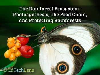 Preview of Rainforest Food Chains & Destroying and Protecting Rainforests Unit eBook