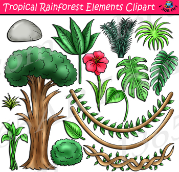 Preview of Rainforest Elements Clipart