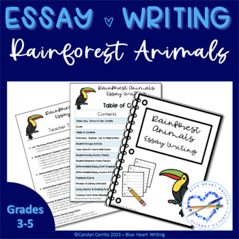 good title for rainforest essay