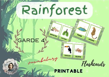 Preview of Rainforest Flashcards: Educational content for Exploring Flora & Fauna
