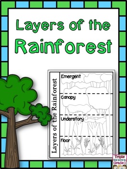 Download Layers of the Rainforest by Triple the Love in Grade 1 | TpT