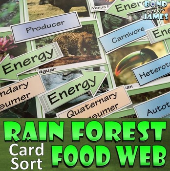 Preview of Food Chain and Food Web: Rainforest Card Sort