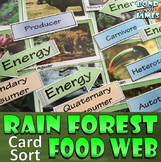Food Chain and Food Web: Rainforest Card Sort