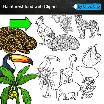 rainforest animal clipart black and white