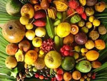 Rainforest Fruits Taste Test by Adventures in Preschool | TpT