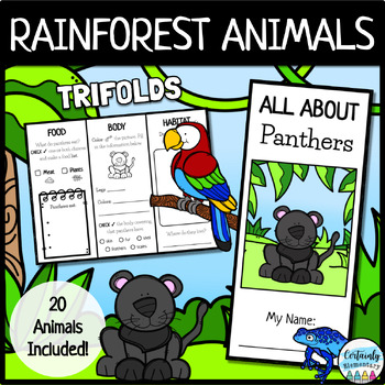 Rainforest Habitat Animal Research Trifolds | Animal Report Brochure ...