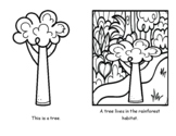 Rainforest Habitat Animals - guided reading and coloring book