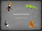Rainforest Habitat PowerPoint