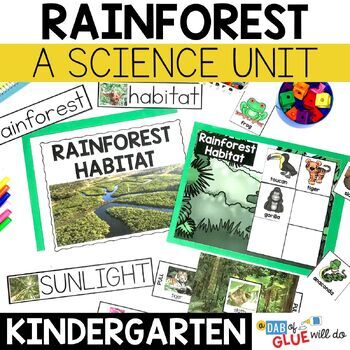 Preview of Rainforest Habitat Science Lessons and Activities for Kindergarten
