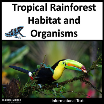 Preview of Animals of the Rainforest Activities & Habitat and Ecosystems 3-LS4-3. & 3-LS4-4