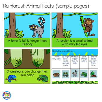 Rainforest Habitat facts and photos