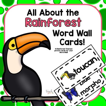 Preview of Rainforest & Jungle Word Wall Picture Cards