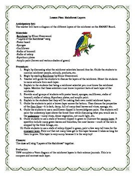 Preview of Rainforest Layers Lesson Plan