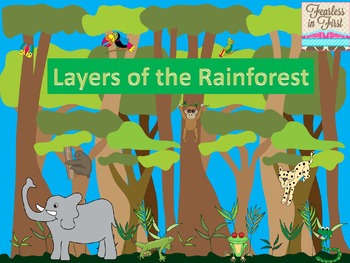 Preview of Rainforest Layers Presentation & Craft