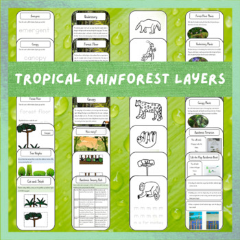 Rainforest Sensory Activity Path