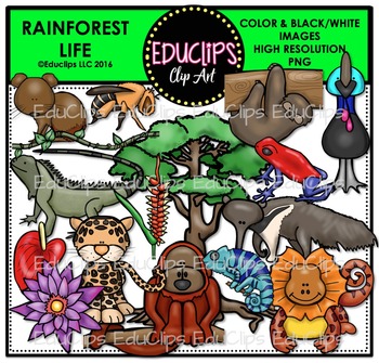 Preview of Rainforest Life Clip Art Bundle {Educlips Clipart}