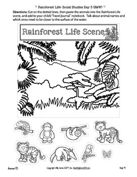 preschool rainforest printables week 17 by preschool