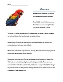 Rainforest Macaw Expository Writing Activity