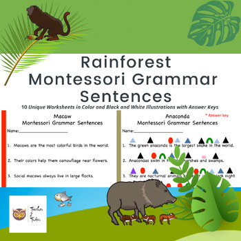 Preview of Rainforest Montessori Grammar Sentences