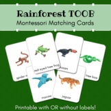 Rainforest Montessori Matching Cards (SafariLtd Toob)