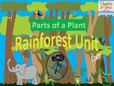 Rainforest- Parts of a Plant Craftivity
