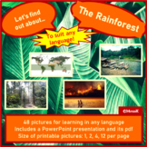 Rainforest Picture cards Photos Exploring