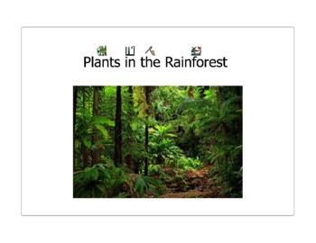Preview of Rainforest Plants Adapted Reader