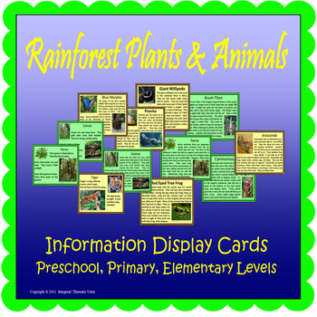 Preview of Rainforest Plants & Animals Display Cards (Included~Rainforest-MapMuralMuseum)