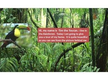 Preview of Rainforest Powerpoint