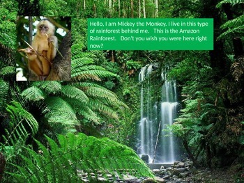 Rainforest Powerpoint by Kelsey Roth | TPT