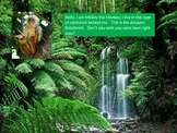 Rainforest Powerpoint